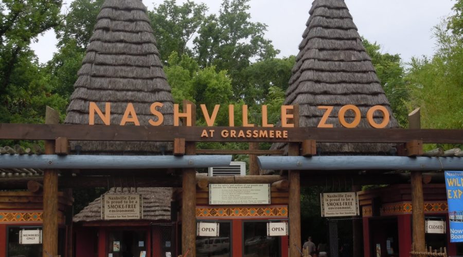 Día libre para las personas sordas en el zoologico de Nashville