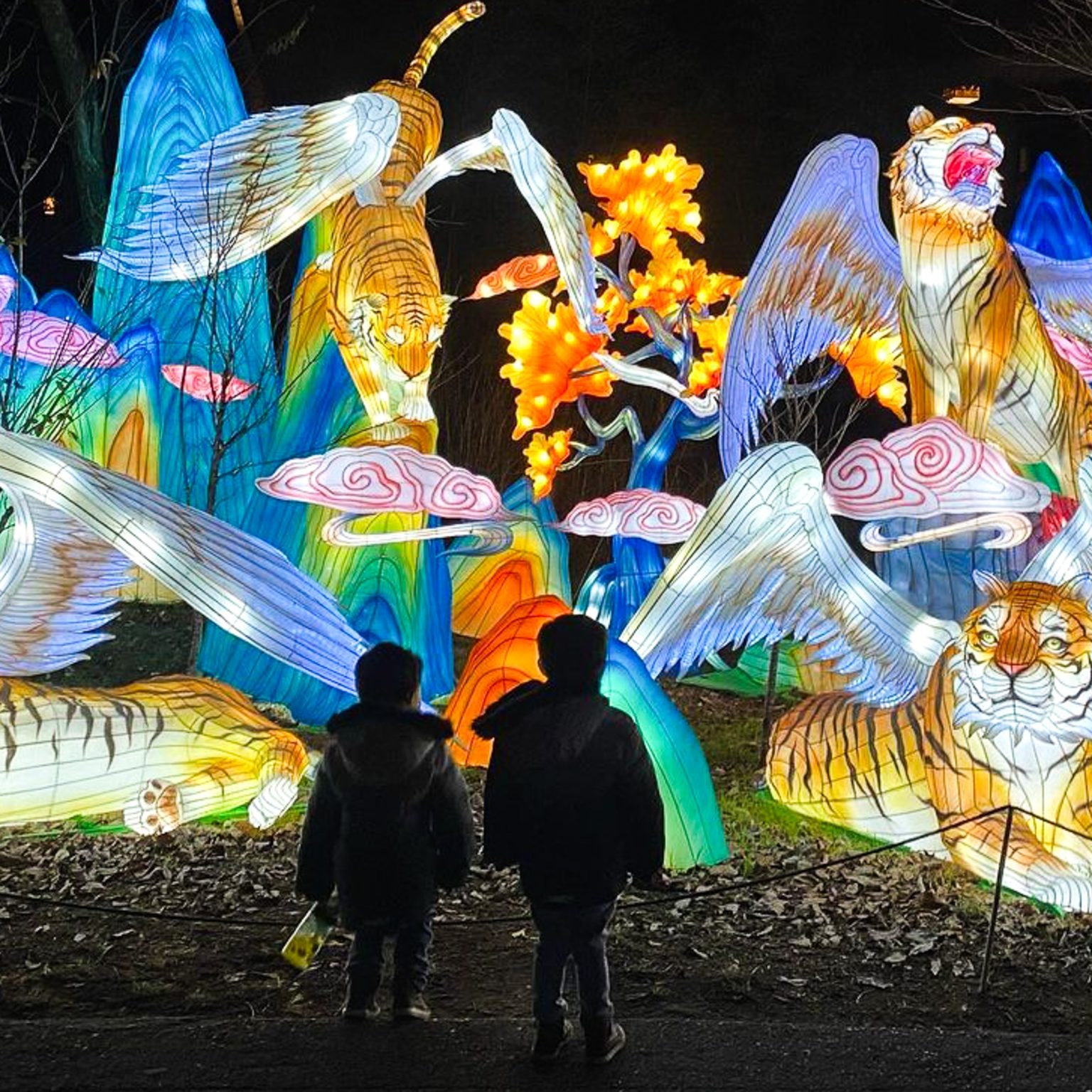 Vive la experiencia de Zoolumination en el Zoológico de Nashville